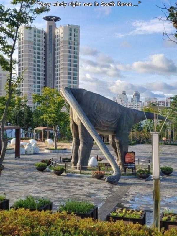 41 Random Pictures With Captions (41 photos)