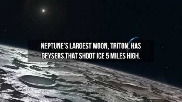 15 Interesting Facts About The Moons (15 photos)