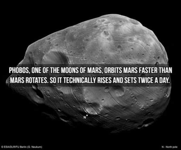 15 Interesting Facts About The Moons (15 photos)