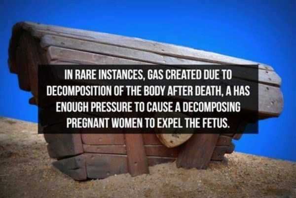It’s Time For Some Cool And Interesting Facts – Part 187 (43 photos)