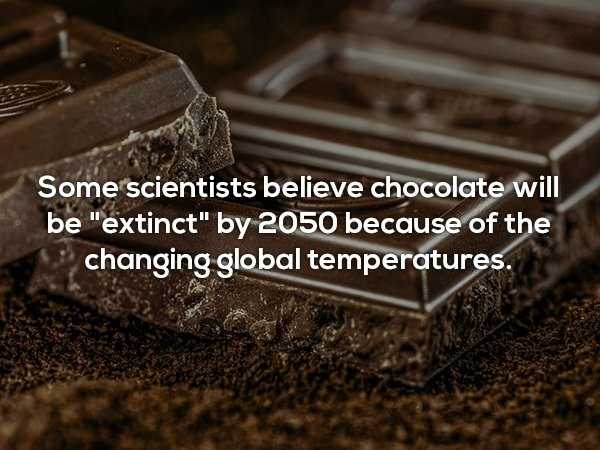 random trivia 30 1 It’s Time For Some Cool And Interesting Facts – Part 187 (43 photos)