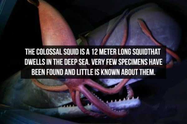 It’s Time For Some Cool And Interesting Facts – Part 187 (43 photos)