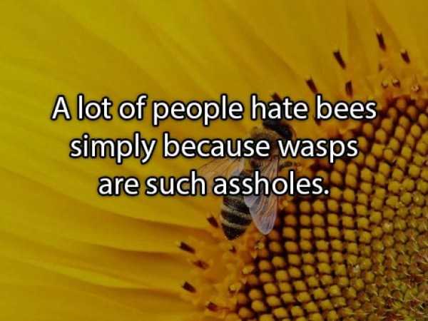 shower thoughts 34 35 More Deep Shower Thoughts (35 photos)