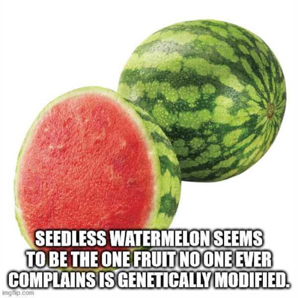 shower thoughts 4 35 More Deep Shower Thoughts (35 photos)