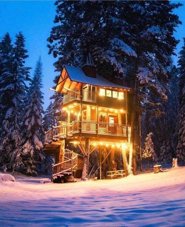 48 Cool Treehouses (48 photos)