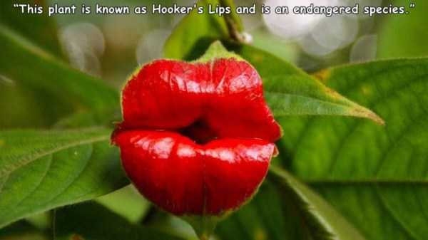 amusing captions 16 40 Random Pictures With Captions (40 photos)