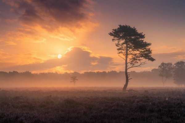 beautiful landscapes 18 44 Breathtaking Landscapes (44 photos)