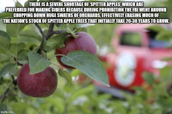 It’s Time For Some Cool And Interesting Facts – Part 190 (38 photos)