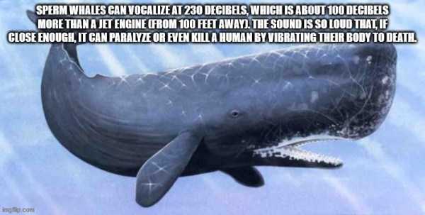 It’s Time For Some Cool And Interesting Facts – Part 189 (44 photos)