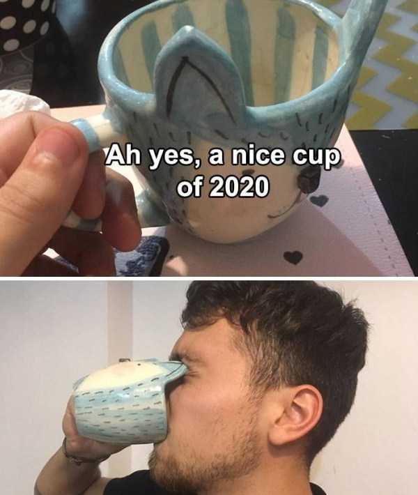 36 Funny Examples Of  If 2020 Was... (36 photos)