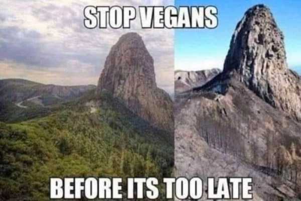 50 Funny Pics, Just in Case You Haven’t Laughed Yet Today (50 photos)