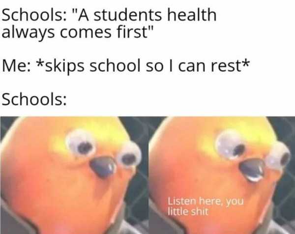 50 Funny Pics, Just in Case You Haven’t Laughed Yet Today (50 photos)