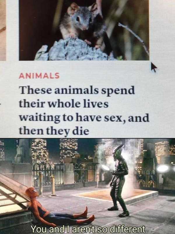 50 Funny Pics, Just in Case You Haven’t Laughed Yet Today (50 photos)