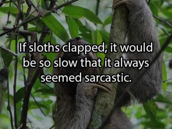 37 More Deep Shower Thoughts (37 photos)