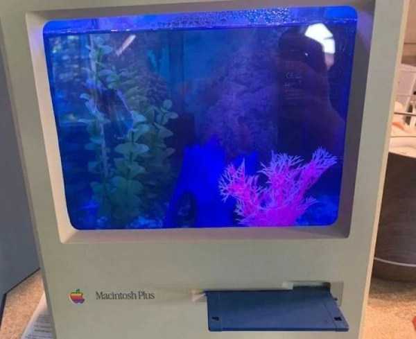 Damn, I Want This! #8 (39 photos)