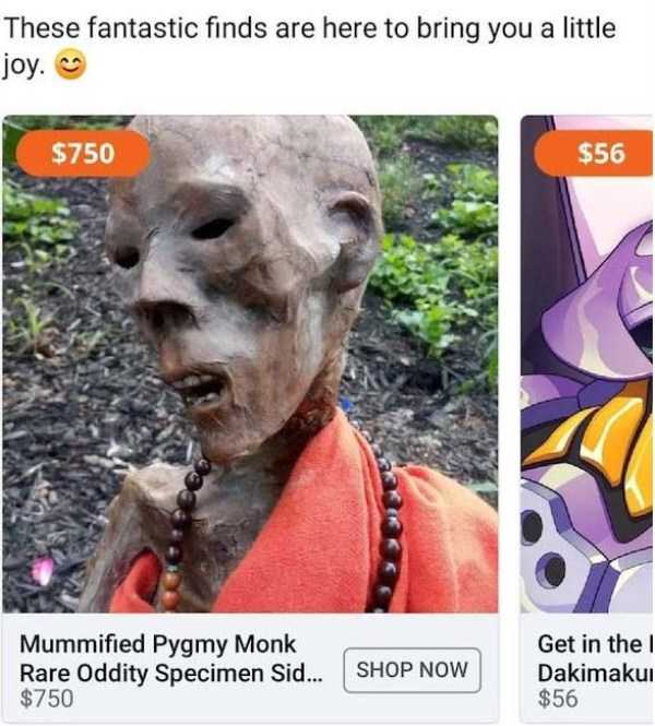 33 WTF Things People Really Tried To Sell On Craigslist (33 photos)