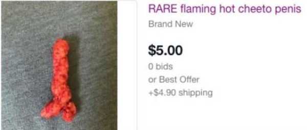 33 WTF Things People Really Tried To Sell On Craigslist (33 photos)