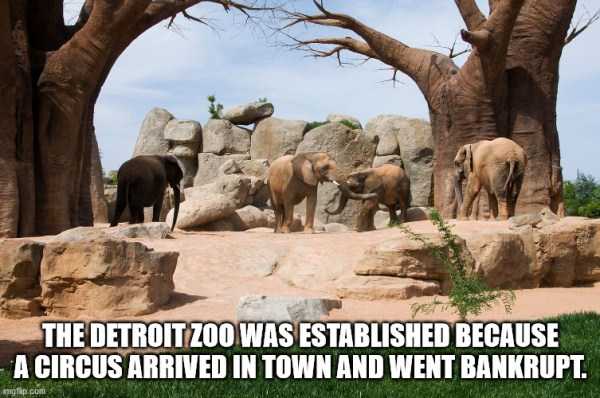 fun facts 7 It’s Time For Some Cool And Interesting Facts – Part 199 (37 photos)