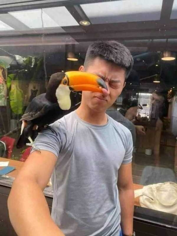 perfectly timed pics 6