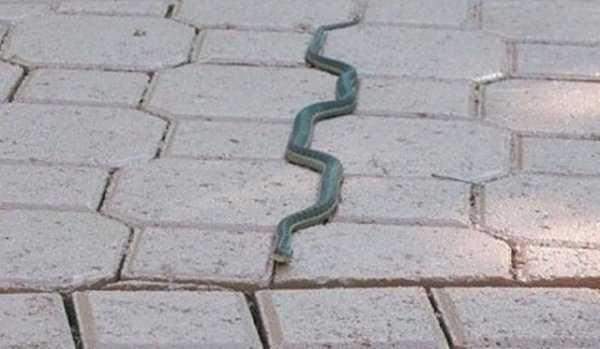 satisfying pics 13 35 More Pictures For Perfectionists (35 photos)