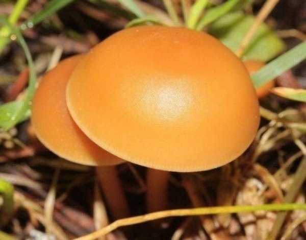 satisfying pics 18 35 More Pictures For Perfectionists (35 photos)