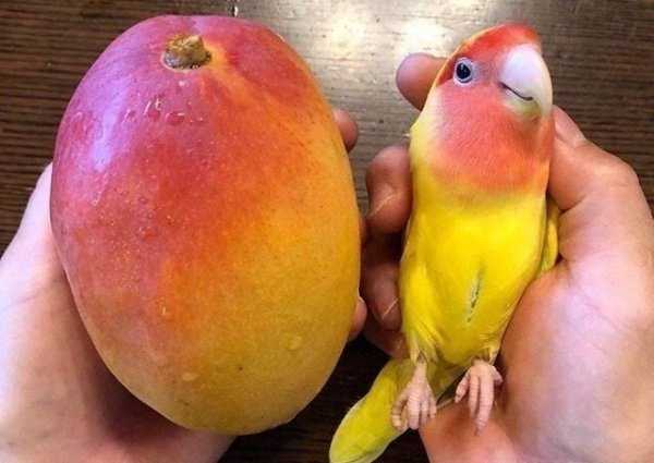 satisfying pics 21 35 More Pictures For Perfectionists (35 photos)