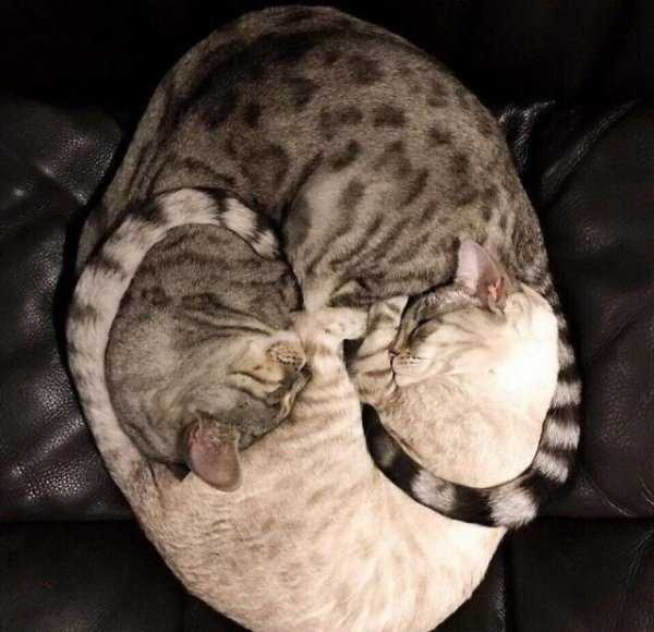 satisfying pics 23 35 More Pictures For Perfectionists (35 photos)