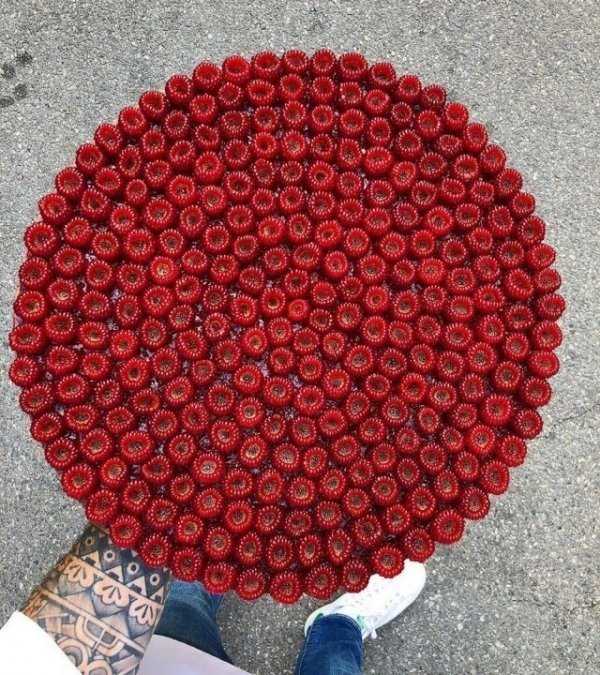 satisfying pics 26 35 More Pictures For Perfectionists (35 photos)