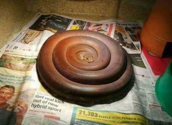 satisfying pics 33 35 More Pictures For Perfectionists (35 photos)