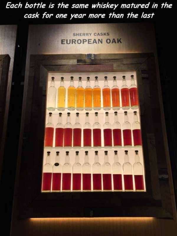 satisfying pics 34 35 More Pictures For Perfectionists (35 photos)