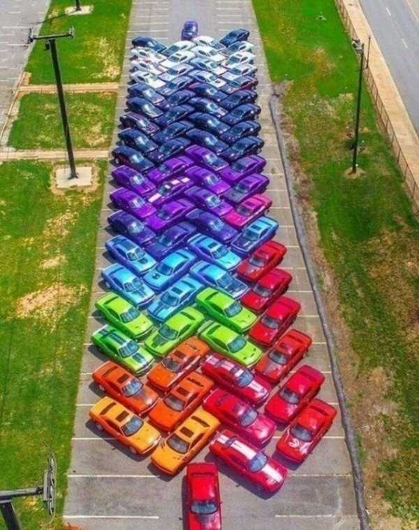 satisfying pics 4 35 More Pictures For Perfectionists (35 photos)