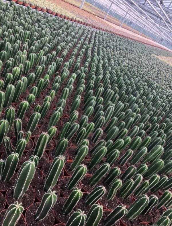 satisfying pics 8 35 More Pictures For Perfectionists (35 photos)