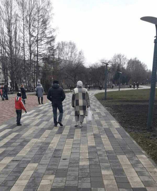 38 Awesome Examples Of Accidental Camouflage (38 photos)