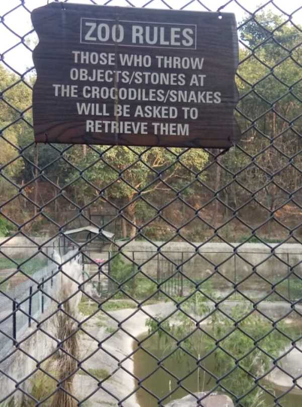 funny signs 24 1