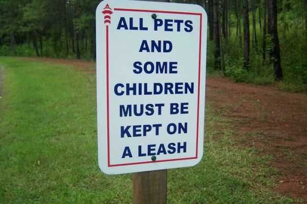 funny signs 40