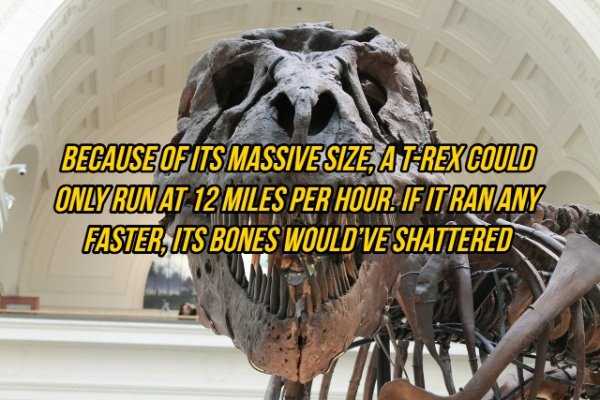 random fun facts 7 It’s Time For Some Cool And Interesting Facts – Part 202 (39 photos)