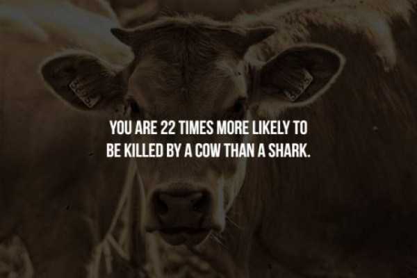 37 Kinda Creepy Facts (37 photos)