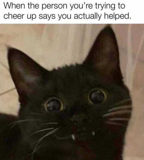 funny memes pics 4 funny memes pics 4