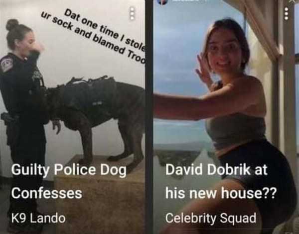 41 Funny Coincidences (41 photos)