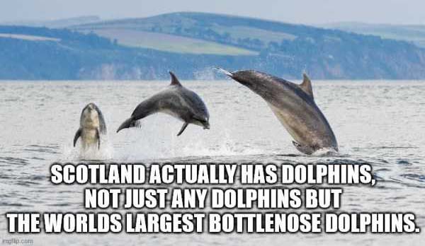 It’s Time For Some Cool And Interesting Facts – Part 213 (39 photos)