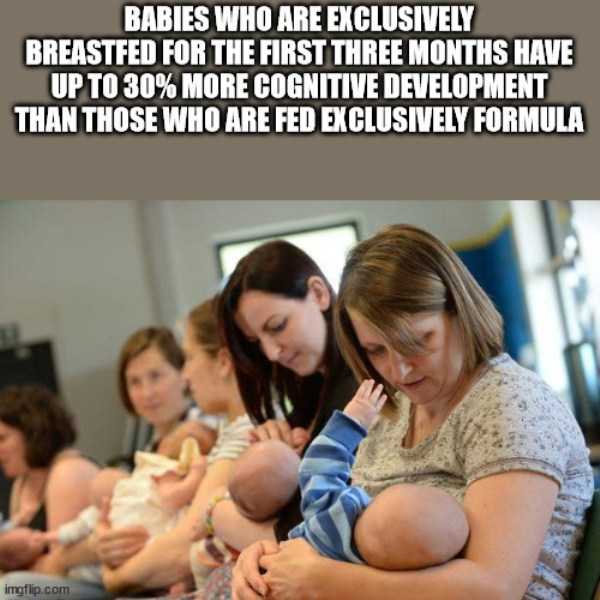 cool trivia 24 It’s Time For Some Cool And Interesting Facts – Part 216 (36 photos)