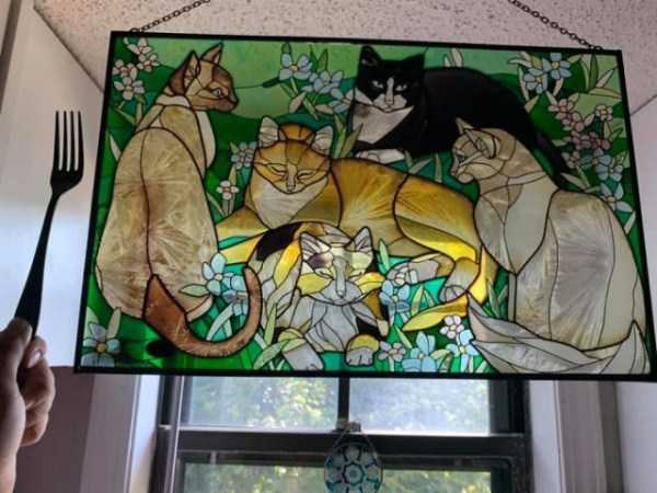 thrift store gems 12 42 WTF Things Found In Thrift Stores (42 photos)