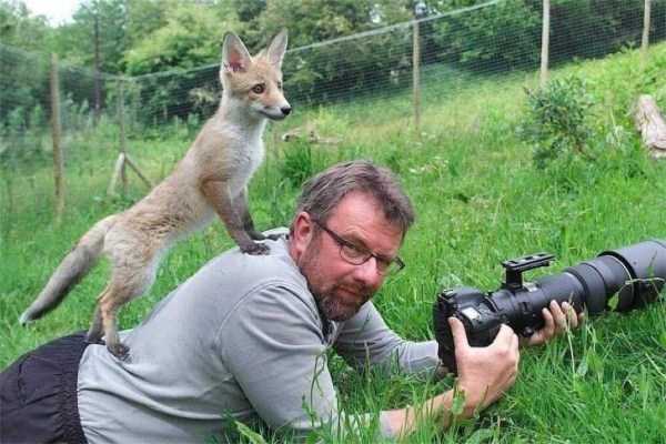 Animals Vs Photographers (37 photos)