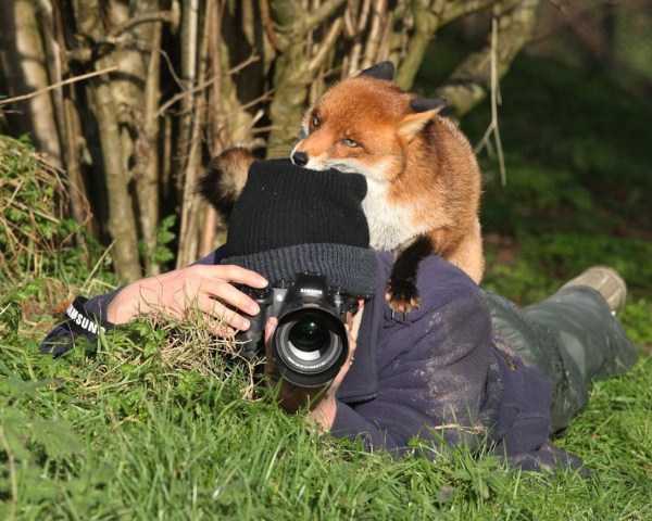animals photographers 7