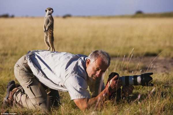 animals photographers 9