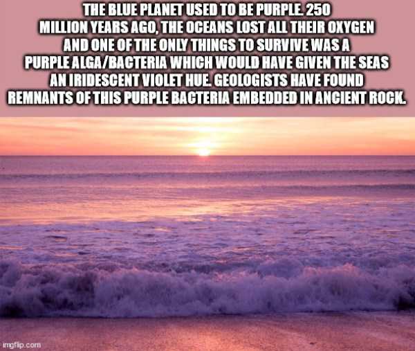 It’s Time For Some Cool And Interesting Facts #222 (34 photos)
