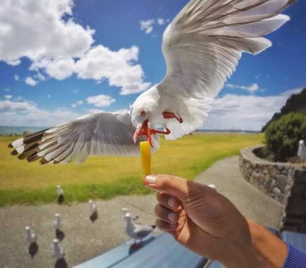 37 Perfectly Timed Photos