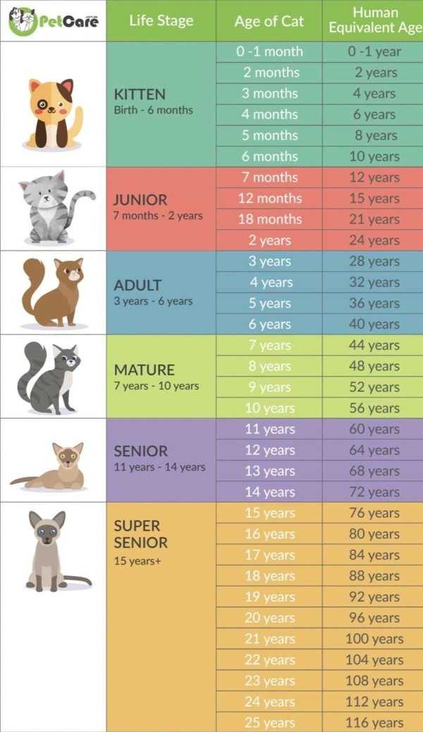 30 Random Charts (30 photos)