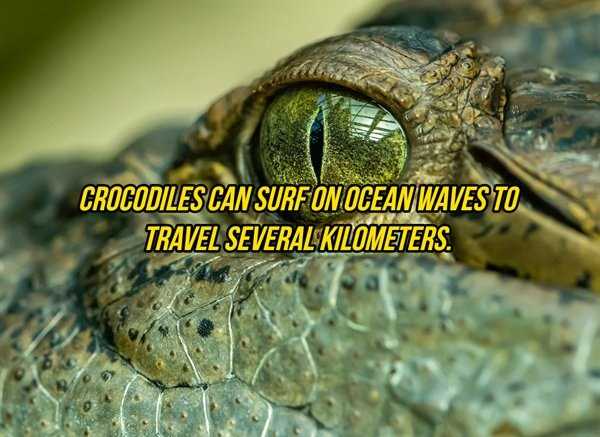 It’s Time For Some Cool And Interesting Facts #225 (47 photos)