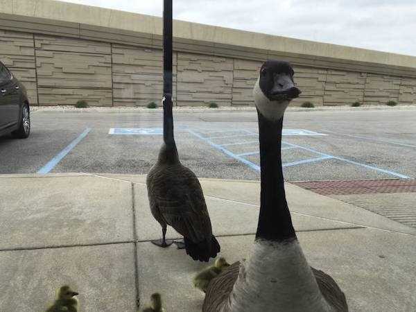 look twice 27 1 Just Look Twice (38 photos)